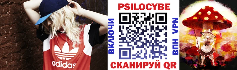 где можно купить   Терек  МЕГА как зайти  Галлюциногенные грибы мицелий 